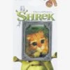 Shrek Puss In Boots Frame Enamel Pin - BoxLunch Exclusive
